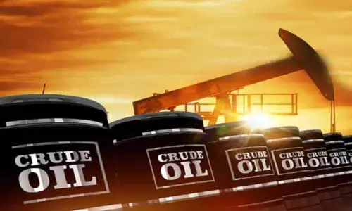 Vegetable oil imports up at 155.5 lakh tonnes