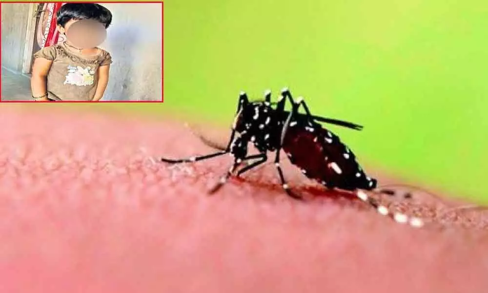 6-year-old succumbs to dengue fever in Hyderabad