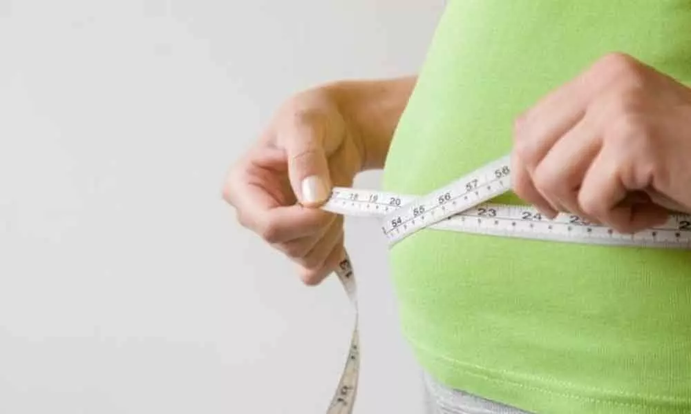 Belly fat cells may be targets for age related diseases: Study