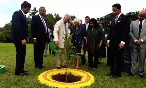 UK royals undergo wellness treatment in Bluru
