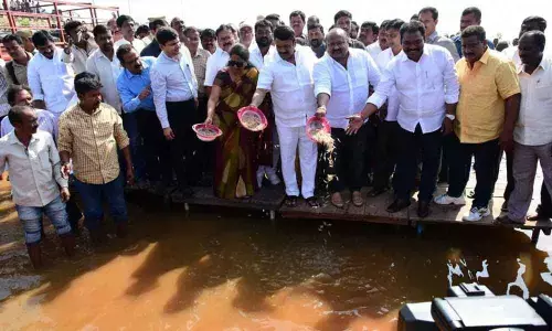 Prawn seeds released in Lower Manair Reservoir: Ministers Talasani Srinivas Yadav