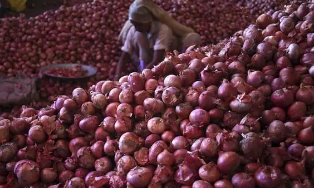 Kurnool: Onion prices increased, government takes measures to slash the rates