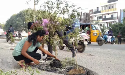 Potholes turn into tree pits