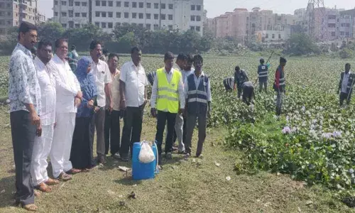 Hyacinth removed from Alithalab Cheruvu