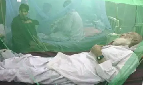 Pakistan dengue cases nearing 50,000