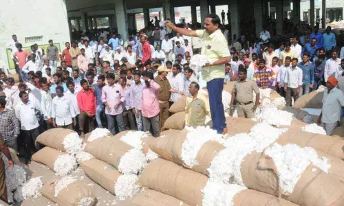 Warangal: Cotton traders demand pending dues