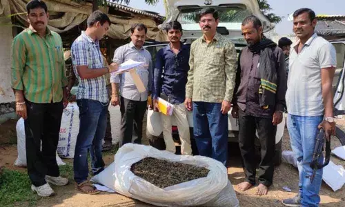 3 ganja peddlers held in Mulugu