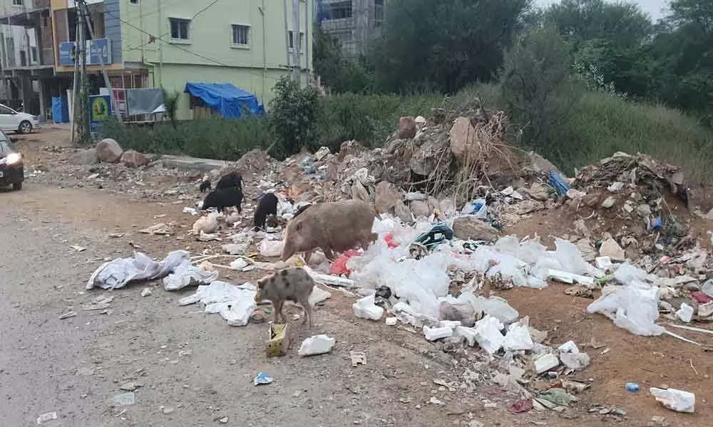 Garbage piles up in TNGO Colony
