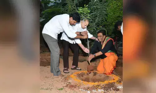 Actor Krishna plants 3 saplings in go-green drive