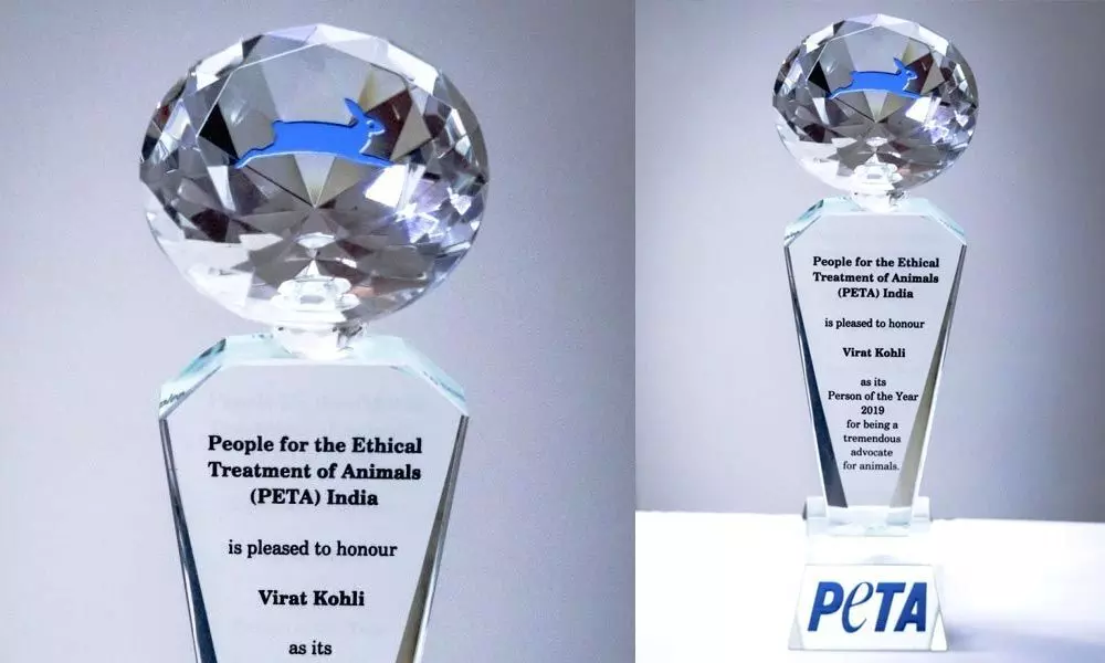 Virat Kohli is PETAs Person of The Year 2019