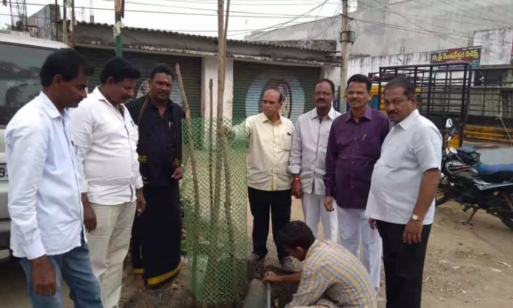 Bhadrachalam: Green Bhadradri calls for protection of planted saplings