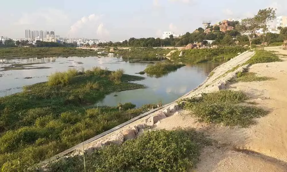 Only 4 of 64 lakes in hyderabad city fit for survival of fish