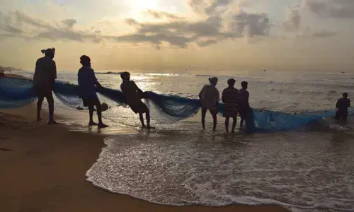 Amaravati: Andhra State plans big push for fisheries promotion