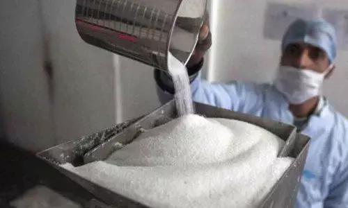 Sugar output falls 64% to 4.85 lakh tonne