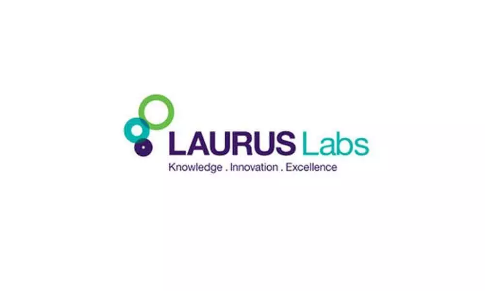 Laurus plant gets 3 observations