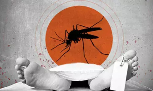 Class 10 boy dies of dengue in Hyderabad