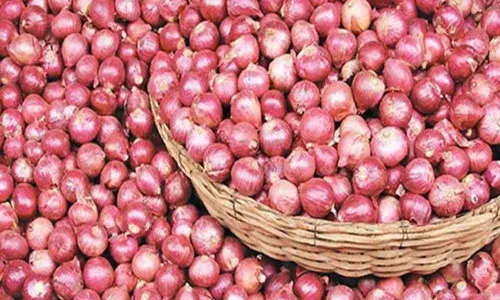 Kurnool: High price of onion brings cheer to farmers