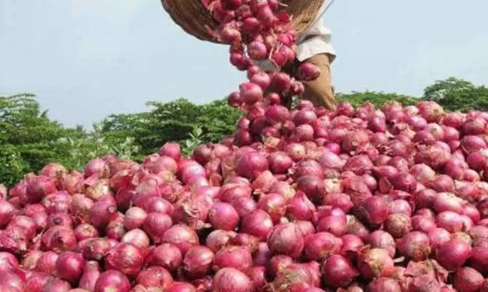 Onion farmers overwhelmed with an all-time hike in the price of Rs 6,470 per quintal