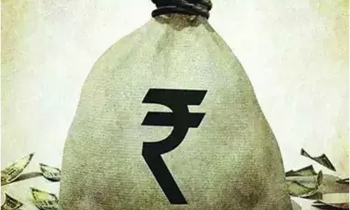 Woman fined Rs 17,000 for cutting down tree in Hyderabad