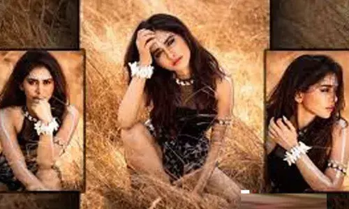 Nabha Nateshs Crazy Tribal Photoshoot gleams Glamour