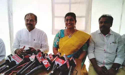 Chandrababu, Pawan hatching conspiracy to destabilize government-APIIC chairman