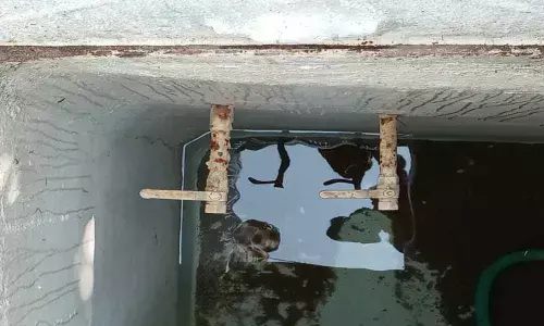 Citizens throng HMWSSB to regularise illegal connections