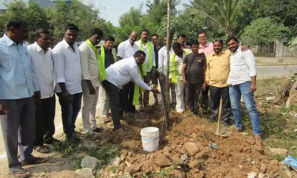 Mallapur: Residents plant saplings