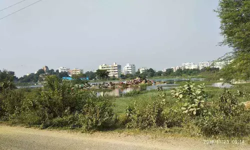 Tale of a dying lake in Madinaguda
