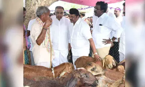 Talasani releases 1 lakh prawn seed into Paler reservoir