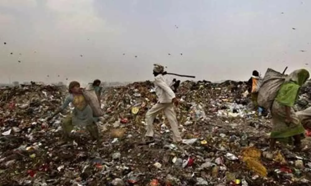 Prepare action plan to clear waste at Bhalswa, Ghazipur and Okhla: National Green Tribunal