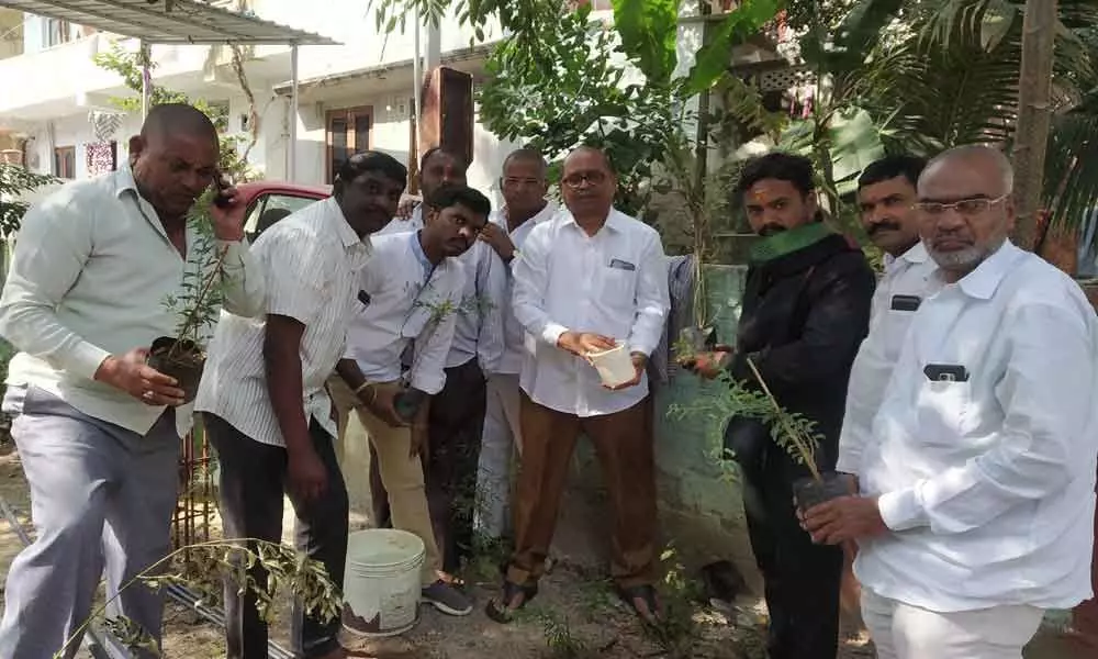 Allwyn Colony: Corporator Dodla Venkatesh Goud plants saplings