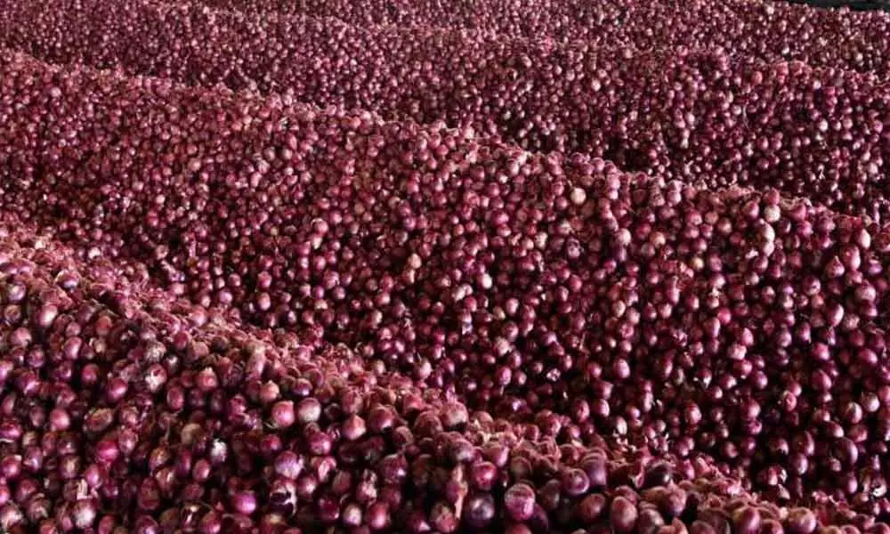 MMTC to procure 6,090 tonne onion