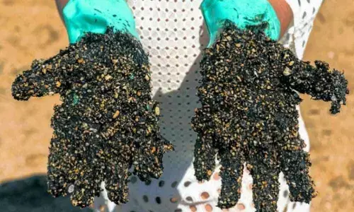 Oil spill contaminates stretch of Brazils coast