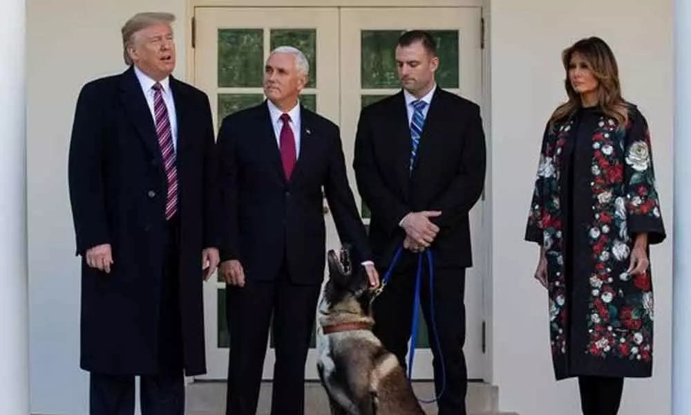 Dog that helped kill Al Baghdadi visits White House; meets Trump