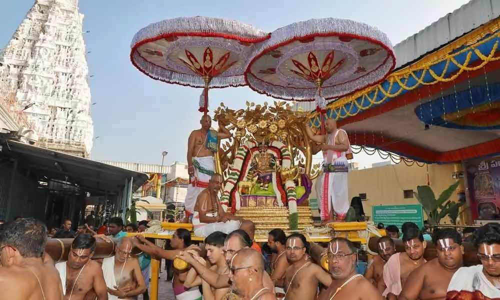 Rajamannar rides on Kalpavriksha Vahanam in Tirupati