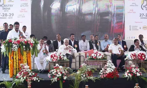 Hyderabad: IPEMA urges TS to announce MSP for eggs