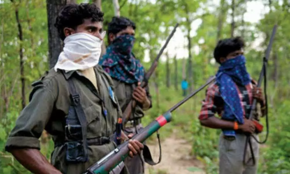 Warangal: Government trying to usurp podu land, say Maoists