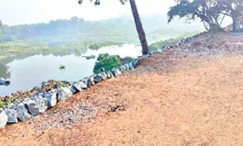 Officials not protecting OU lands