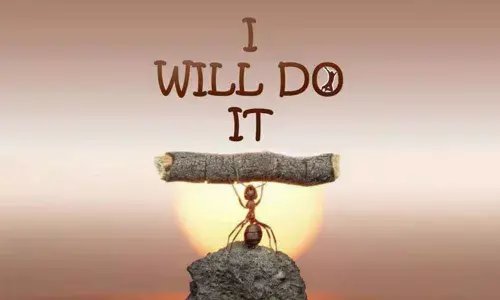 Future-proof careers need these skills and trainings