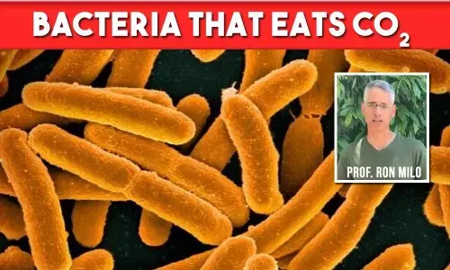 In a major climate breakthrough, Israel scientists create bacteria that eats CO₂