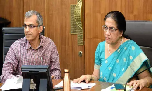 Work on solar project progressing at brisk pace: CS Nilam Sawhney