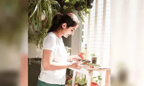 Get started on your indoor garden