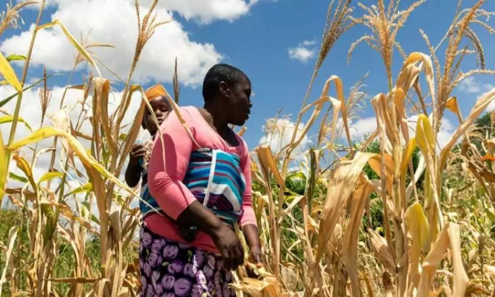 Zimbabwe faces man-made starvation, UN experts warn other countries