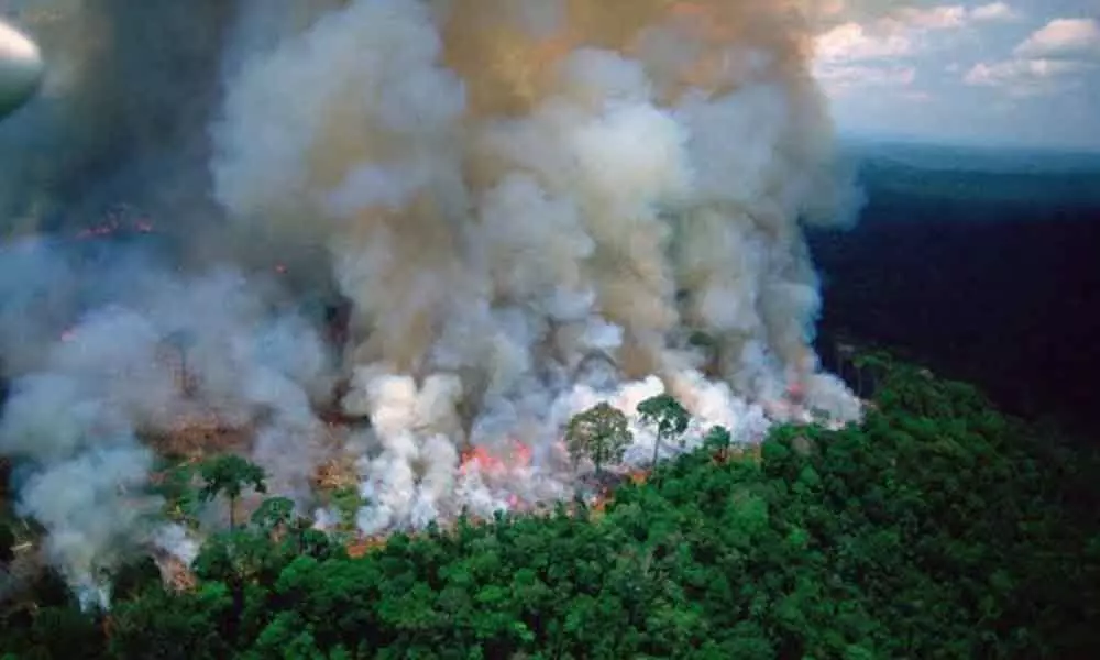 Amazon forest fires melting glaciers over 2,000 km away: Study