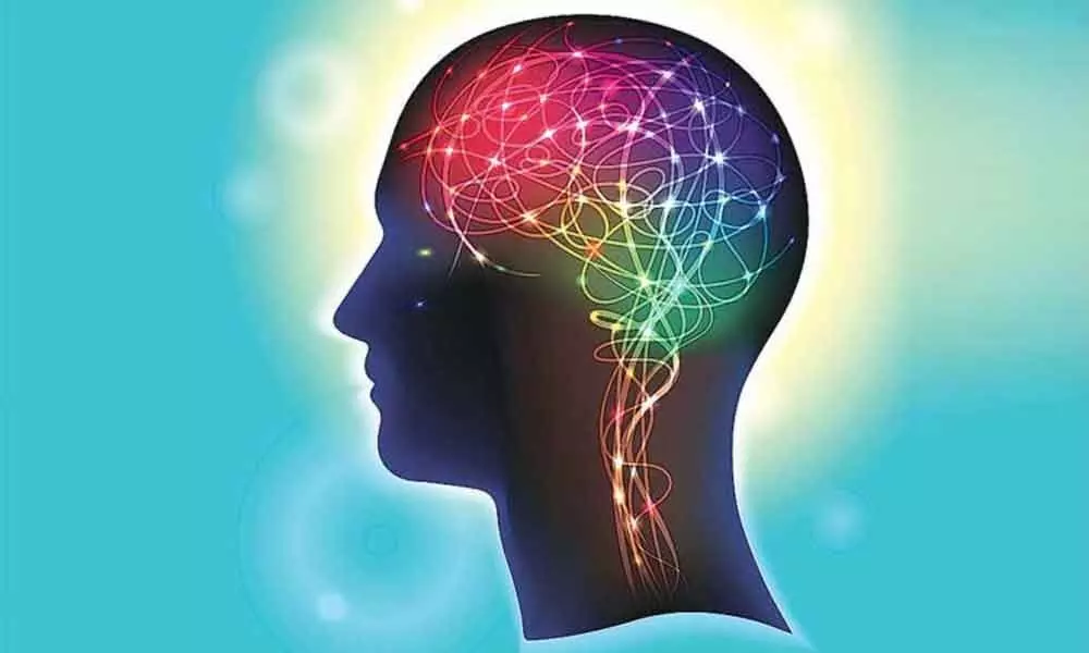 Artificial Intelligence-based algorithm to treat brain injury developed