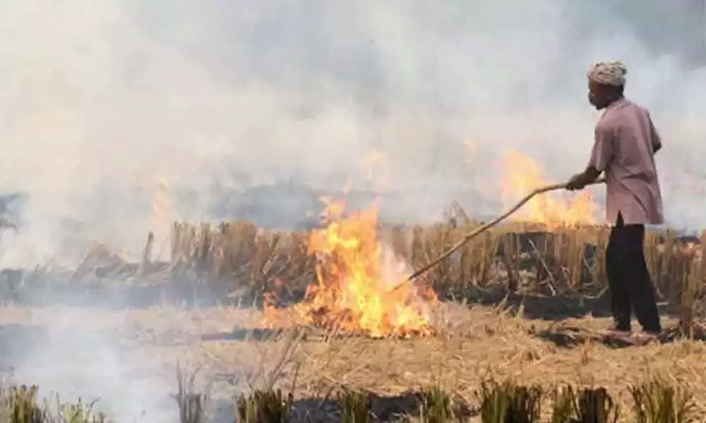 Centre to come out with permanent solution to stubble burning