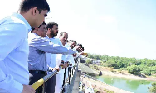 CM determined to complete all projects: Minister P Anil Kumar Yadav