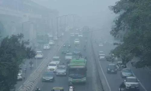 SC defers lifting construction ban in capital, except for Pragati Maidan