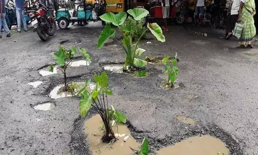 Hyderabad Locals plant trees in potholes