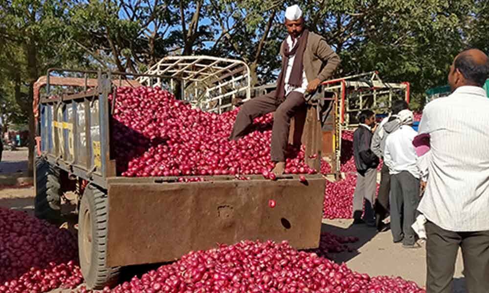 Combating the onion shortage